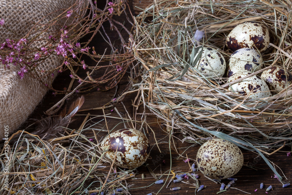 Easter still life. Quail eggs in the nest and on the old wooden table in the barn among hay and dried flowers. Easter still life. Quail eggs in the nest and on the old wooden table in the barn among hay and dried flowers.