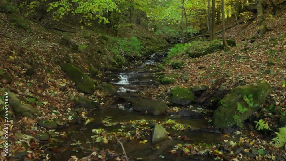 Crystal Mountain Stream. Carpathian Mountains. Ukraine. Clear Water Flows in a Mountain Stream in the Fall. Carpathian Mountains Crystal Mountain Stream. Carpathian Mountains. Ukraine. Clear Water Flows in a Mountain Stream in the Fall. Carpathian Mountains