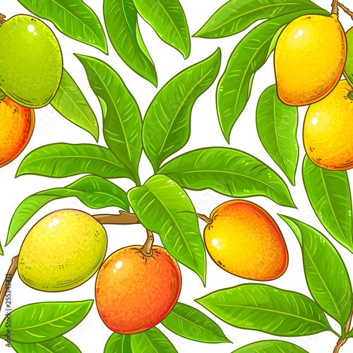 mango vector pattern