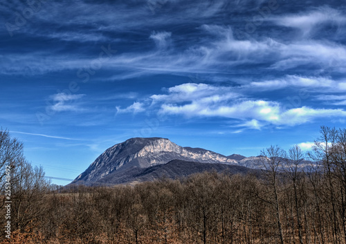 A beautiful rocky mountain range, a forest of bare trees in the foreground, blue sky with some clouds above.