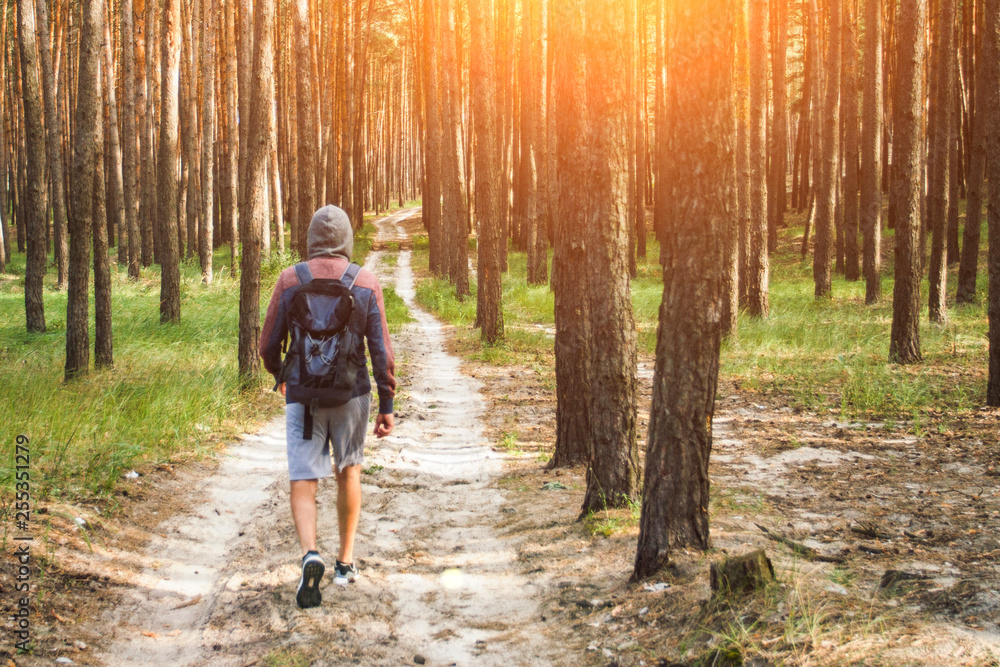 Traveler man walks with a backpack on a dirt road in a pine forest. Concept of hiking in the forest and mountains Traveler man walks with a backpack on a dirt road in a pine forest. Concept of hiking in the forest and mountains