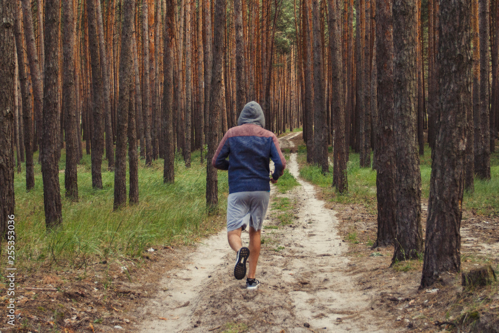 Man in hoodie has workout in a pine forest. Concept of morning matins jogging in outdoor