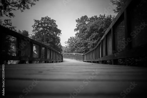 The Wooden Bridge over the River