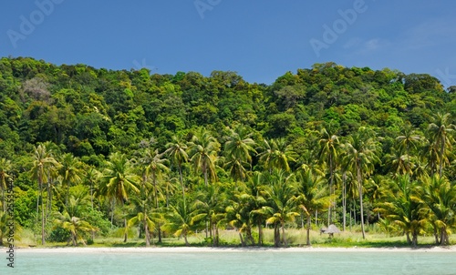 Deserted tropical beach with coconut palm trees and white sand under blue sky on Koh Chang island, Thailand. © Denis Privalikhin