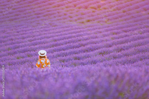 Beautiful provence woman relaxing in lavender field watching on sunset holding basket with lavanda flowers. Series. alluring girl with purple lavender. blond lady in blossom field