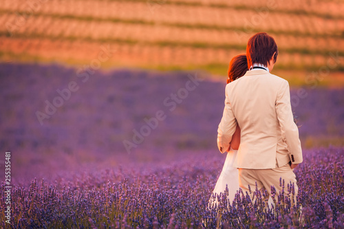 Fototapeta Naklejka Na Ścianę i Meble -  Beautiful wedding couple posing on a lavender field in sunset. Romantic wedding background, wedding concept. Couple hugging and holding hands on natural lavender field (unrecognizable people)