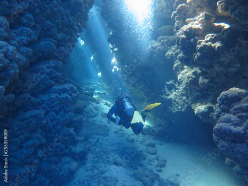 2014, Egypt, diving, depth, entertainment, extreme, underwater, wreck,Thistlehorm