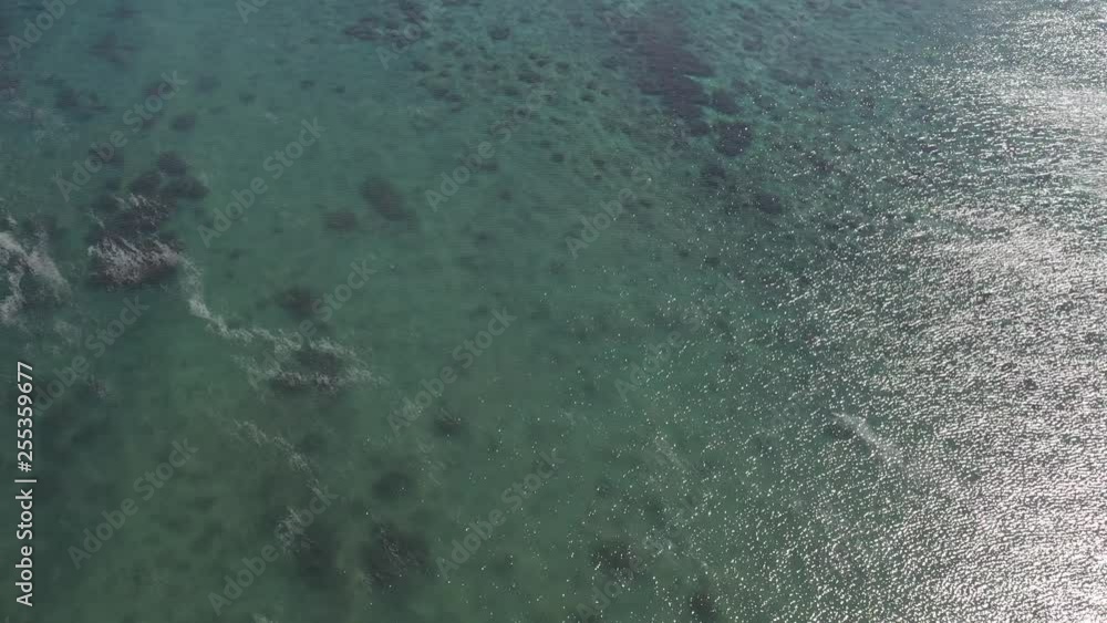 きれいな海 きれいな海