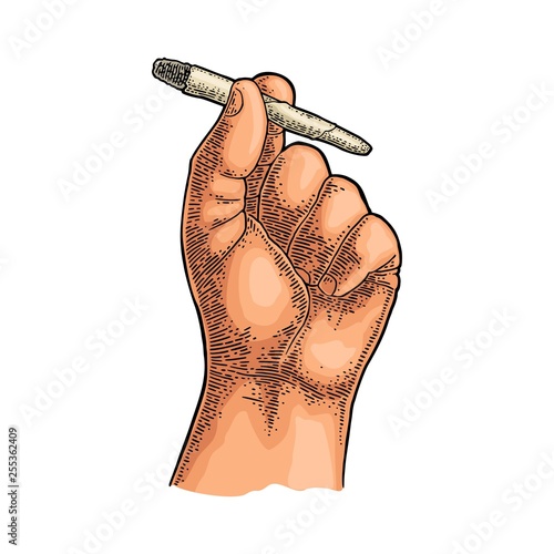 Male hand holding burning cigarettes with marijuana. Engraving vintage