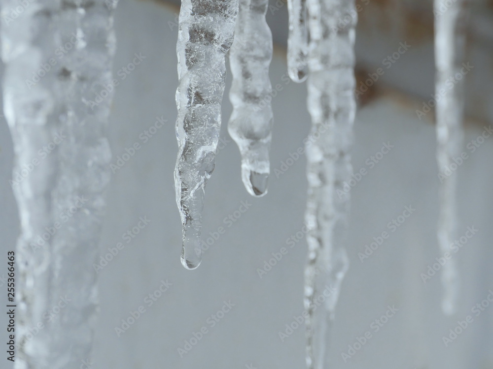 Hanging icicles crystal ice Springtime Hanging icicles crystal ice Springtime
