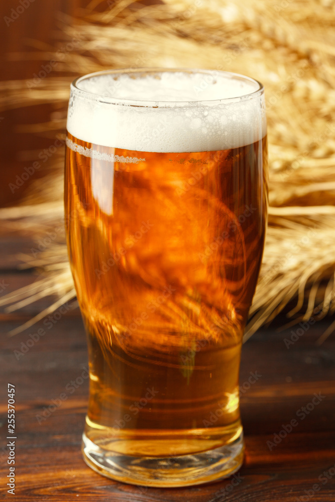 Glass beer on wood background Glass beer on wood background