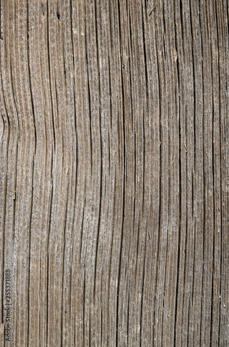 Old wooden cracked board on wall closeup