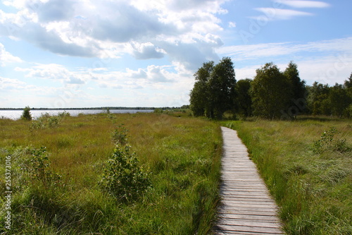 Wooden walkway across Ewiges Meer bog in Friesland, Germany