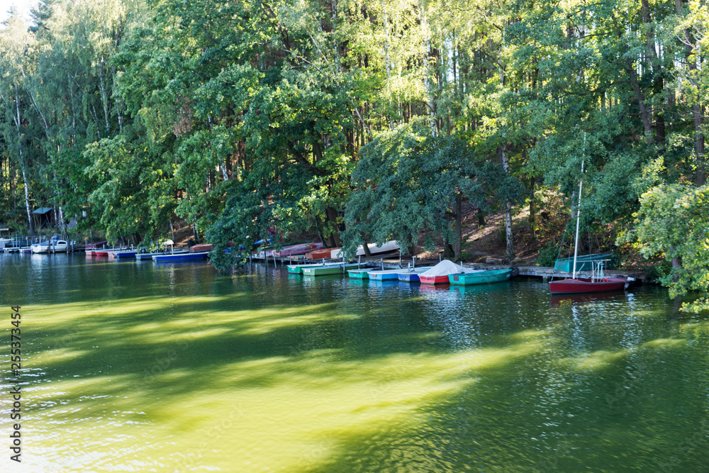 Small boats on the shore of the lake at the edge of the forest