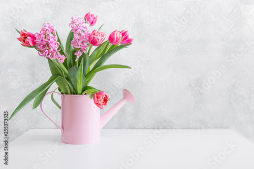 Decorative watering can with pink tulips. Gardening concept. Spring.