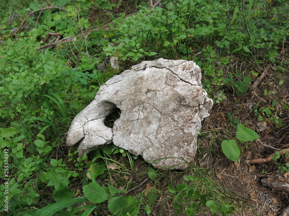 Obraz premium montenegro