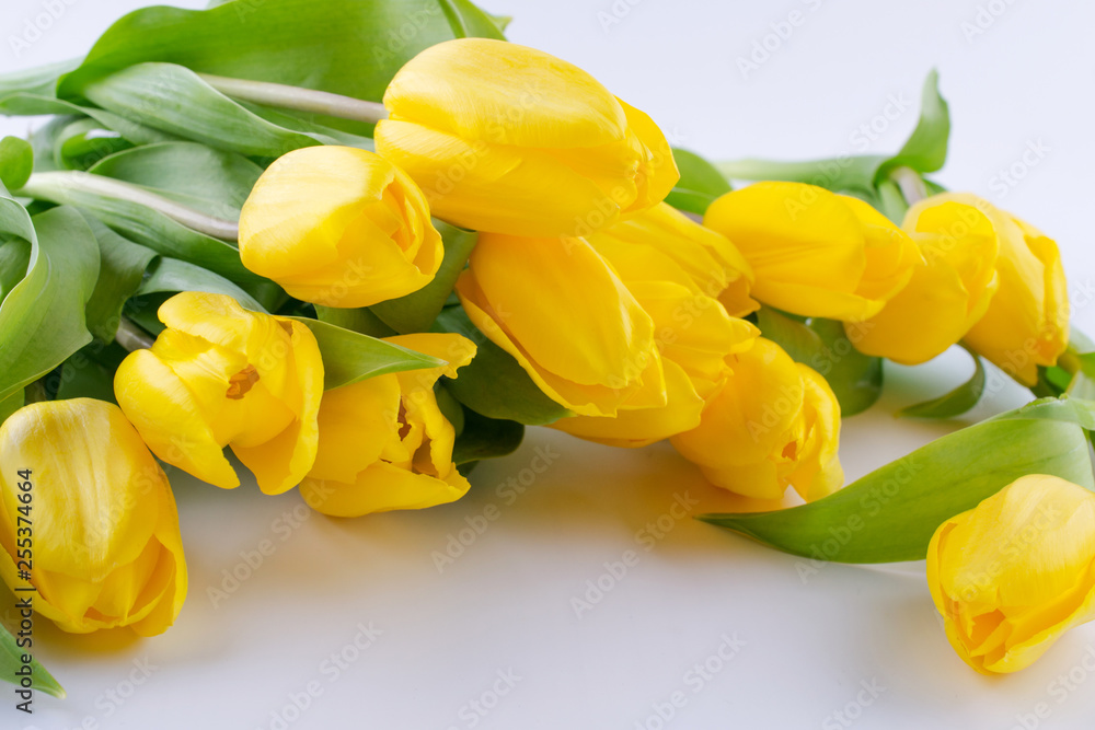 Bouquet of beautiful yellow tulip flowers on white background. Greeting card. Copy space. Bouquet of beautiful yellow tulip flowers on white background. Greeting card. Copy space.