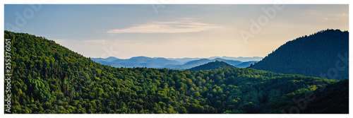 panorama of palatinate forest with a blue sky on a hot summer evening