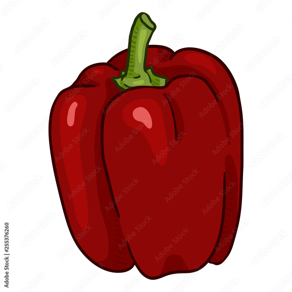 Vector Cartoon Red Paprika Pepper Vector Cartoon Red Paprika Pepper