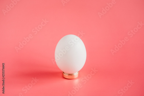 egg on a black background