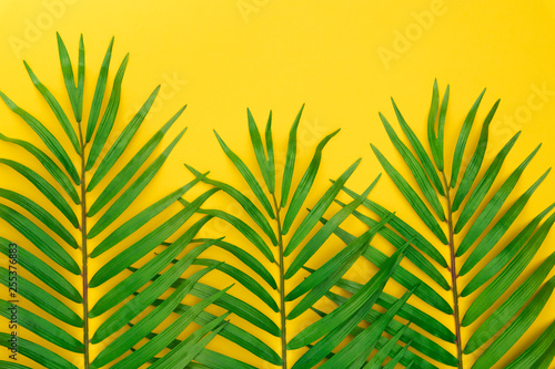 Tropical palm leaves on pastel yellow background. Minimal summer concept. Creative flat lay with copy space. Top view tropical green leaf on pastel color paper