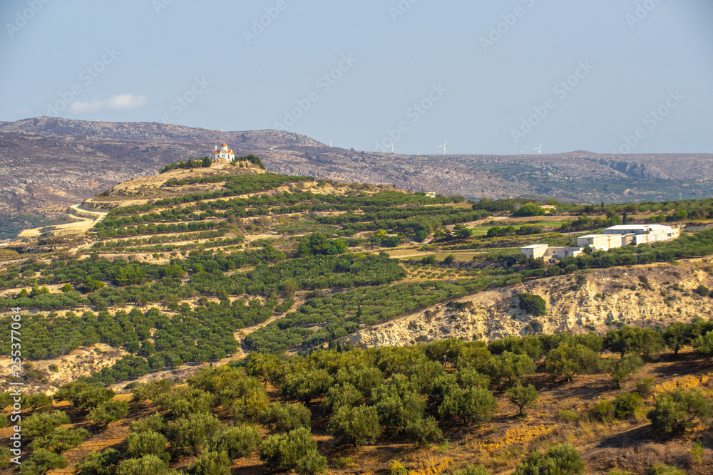 Сretan Landscape with lots of olive trees over the rolling hills, Crete, Greece and churches on top of the hills
