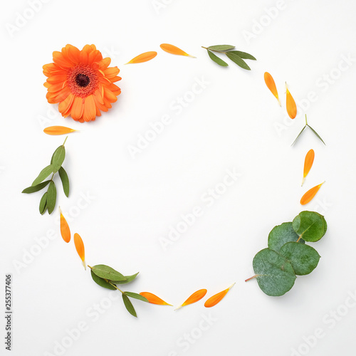 Flower composition on a white background. Gerberas, eucalyptus branches, petals. Flat lay, top view, copy space