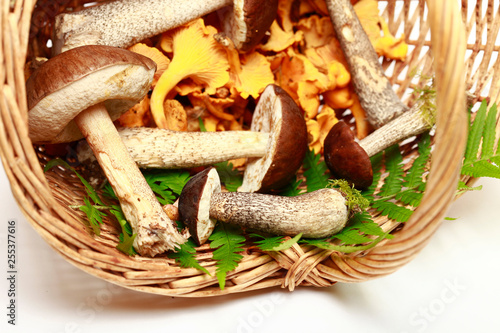 Close-up of mushrooms in a basket on a white background