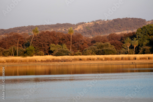 Rajbagh Lake, Ranthambore national park, Rajasthan, India. photo