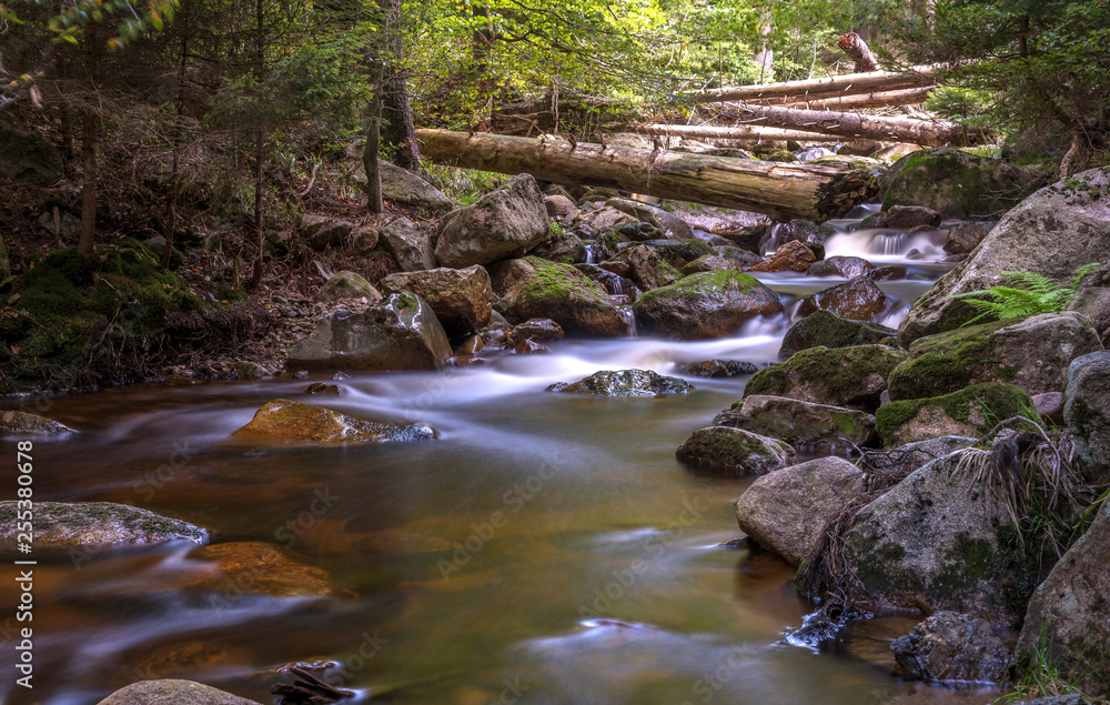 Fototapeta premium Ilsefälle im Harz