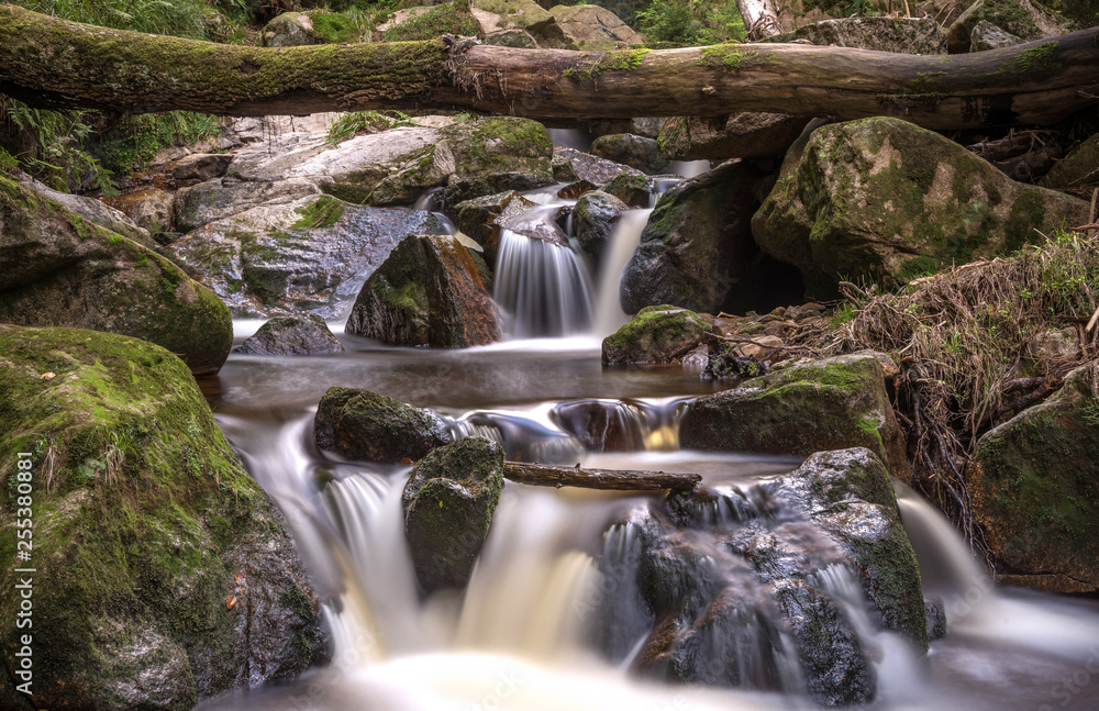 Fototapeta premium Ilsefälle im Harz