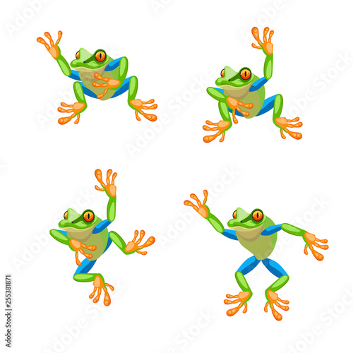 Tree frog Cartoon set. illustration.