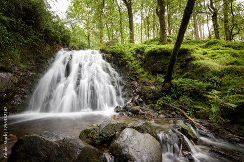 Fototapeta Naklejka Na Ścianę i Meble -  White waterfall in lush and green forest covered with moss