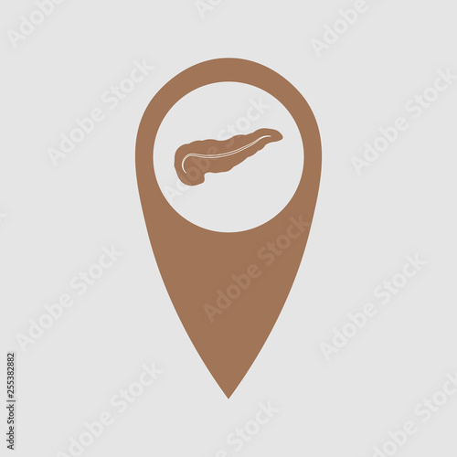 point location depicting the pancreas. Medical element