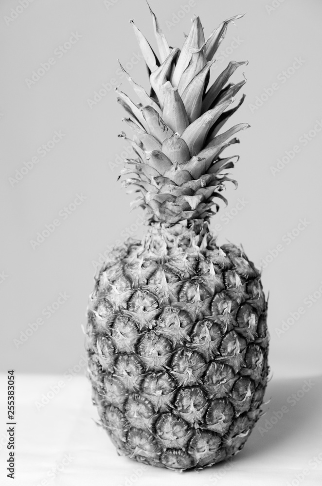 Ananas_studio