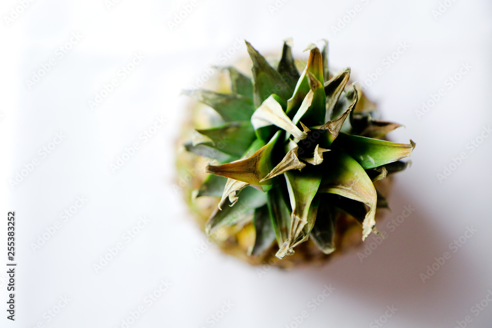 Ananas_studio
