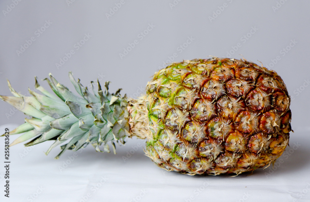 Ananas_studio