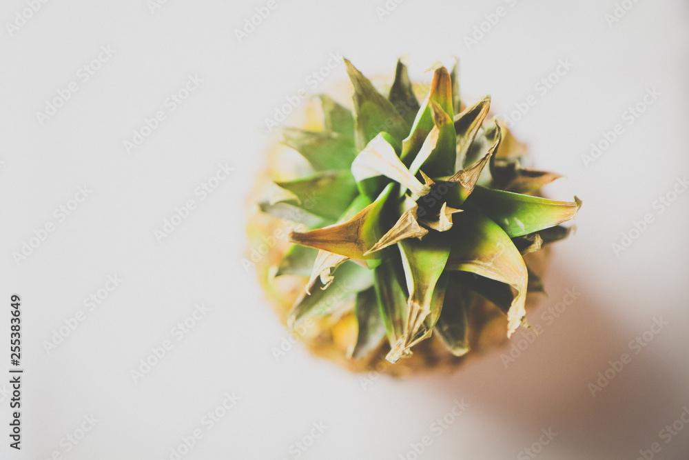 Ananas_studio