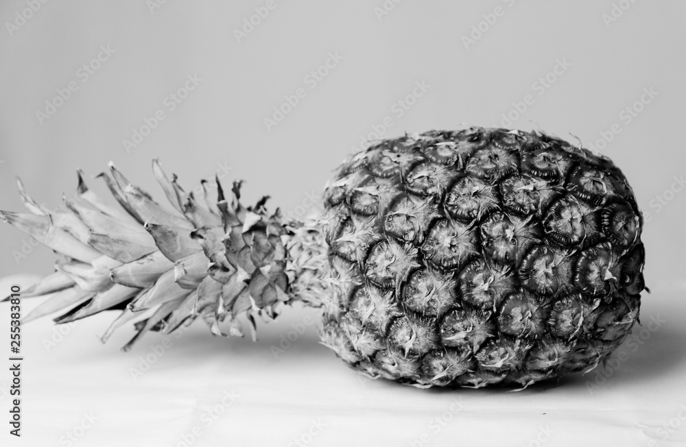 Ananas_studio