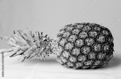Obraz na płótnie Ananas_studio w salonie