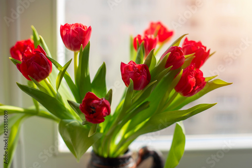 bouquet of red tulips on the windowsill
