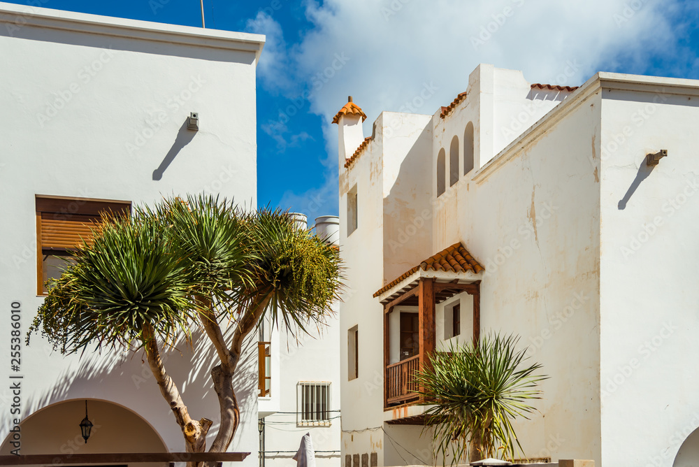 Spain. City block. White houses and palm trees against the blue sky Spain. City block. White houses and palm trees against the blue sky