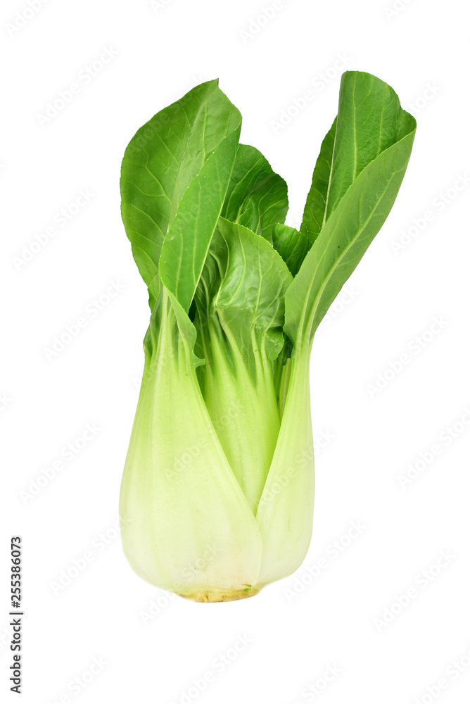 Pak Choi cabbage (Bok choy - Chinese cabbage) Pak Choi cabbage (Bok choy - Chinese cabbage)
