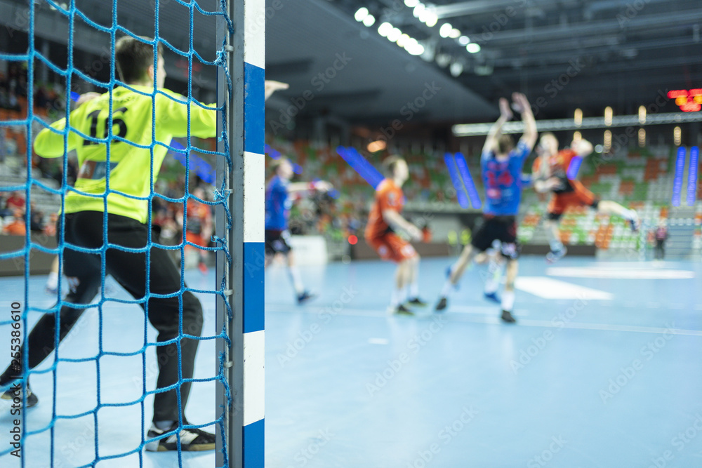 Detail of handball goal post with net and handball match in the background.