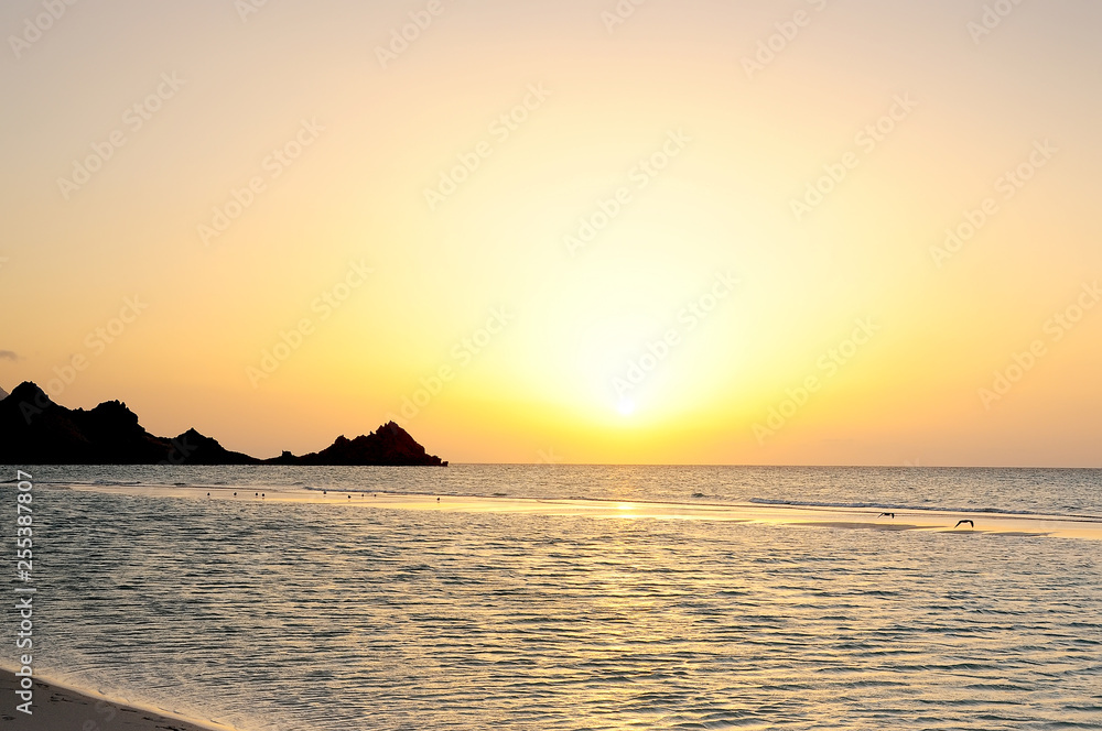Sunset on a wild beach on the Indian Ocean. Golden sunset on the paradise island beach.