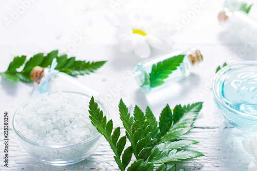 spa setting with cosmetic cream, gel, bath salt and fern leaves on white wooden table background