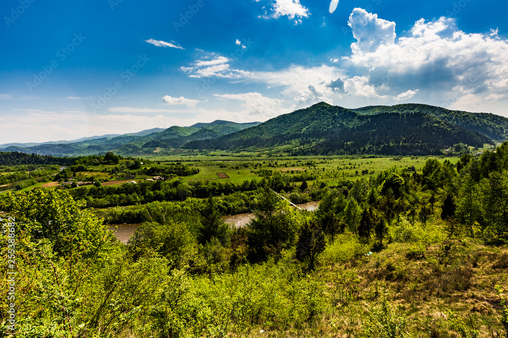 Fototapeta premium Landscape view of the mountain river with green vegetation trees bushes and grass and blue sky