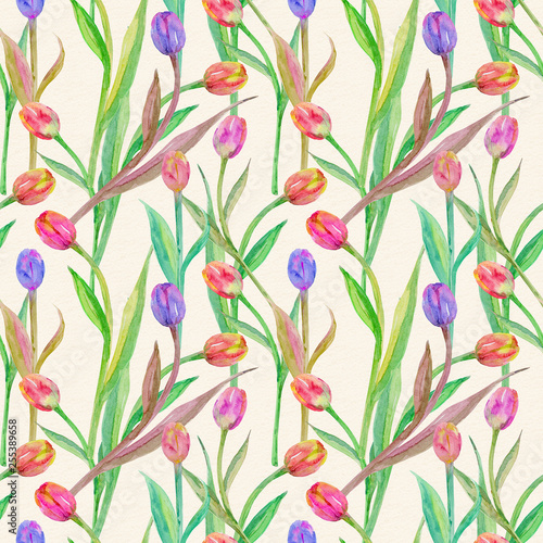 nice seamless texture with lovely tulips. watercolor painting