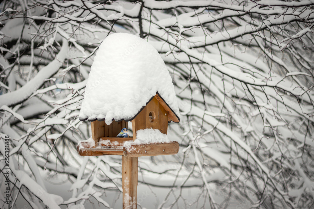 Naklejka premium Bird Inside Wooden Birdhouse Covered with Snow