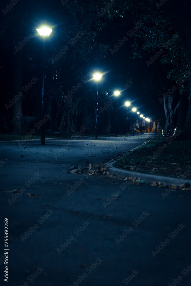 Illuminated path, Domain, Sydney, Australia